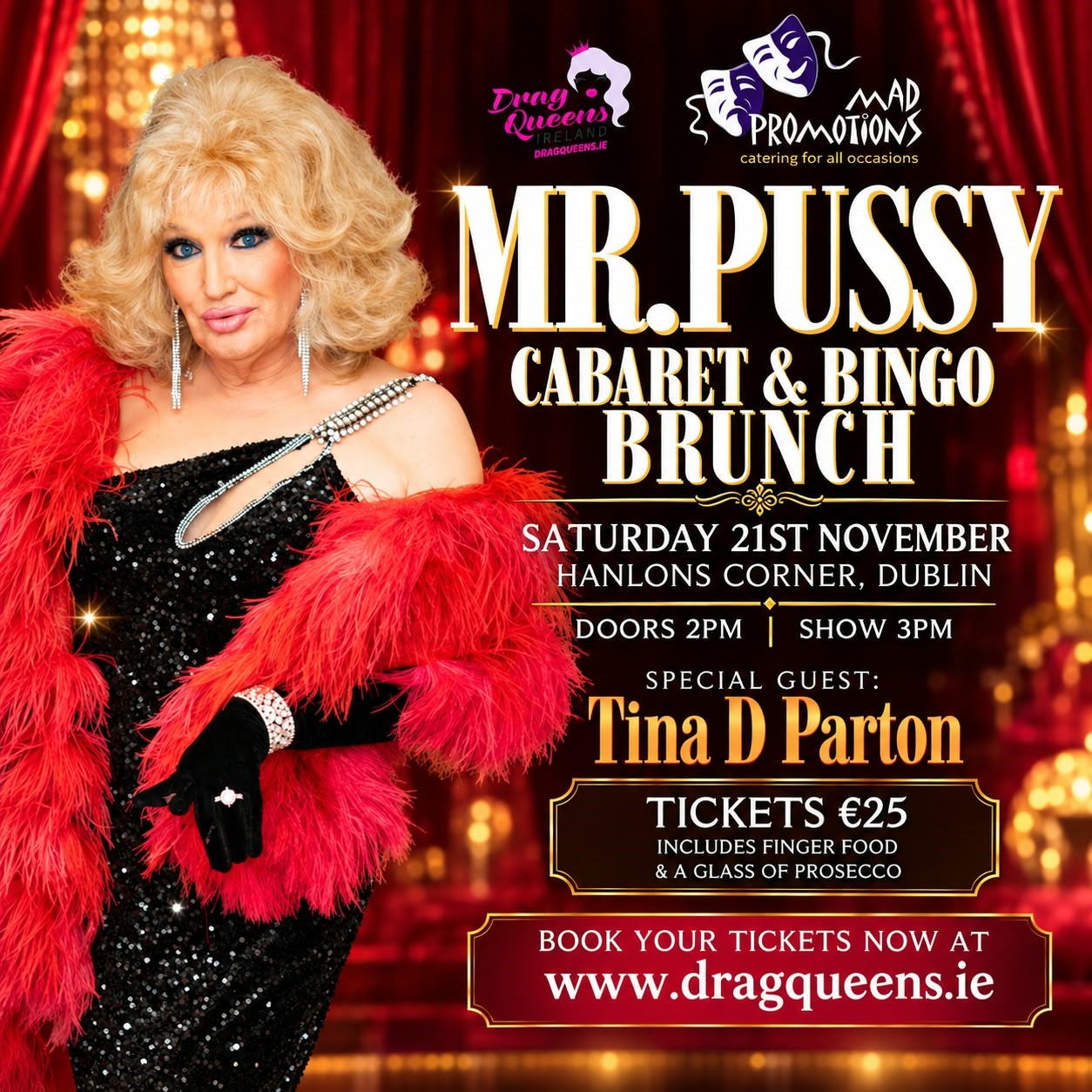 Mr. Pussy Comedy Cabaret & Bingo Brunch – Dublin